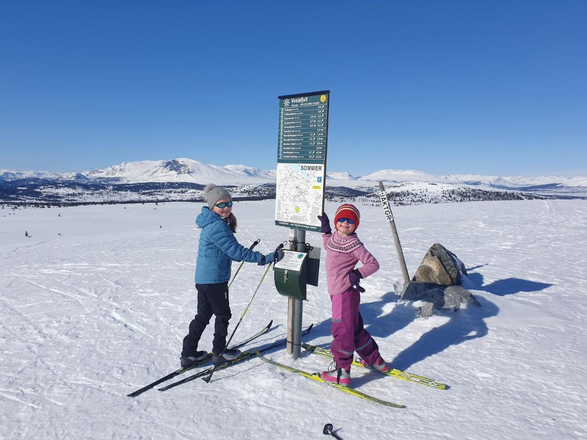 Oset Fjellhotell Gol Exteriér fotografie