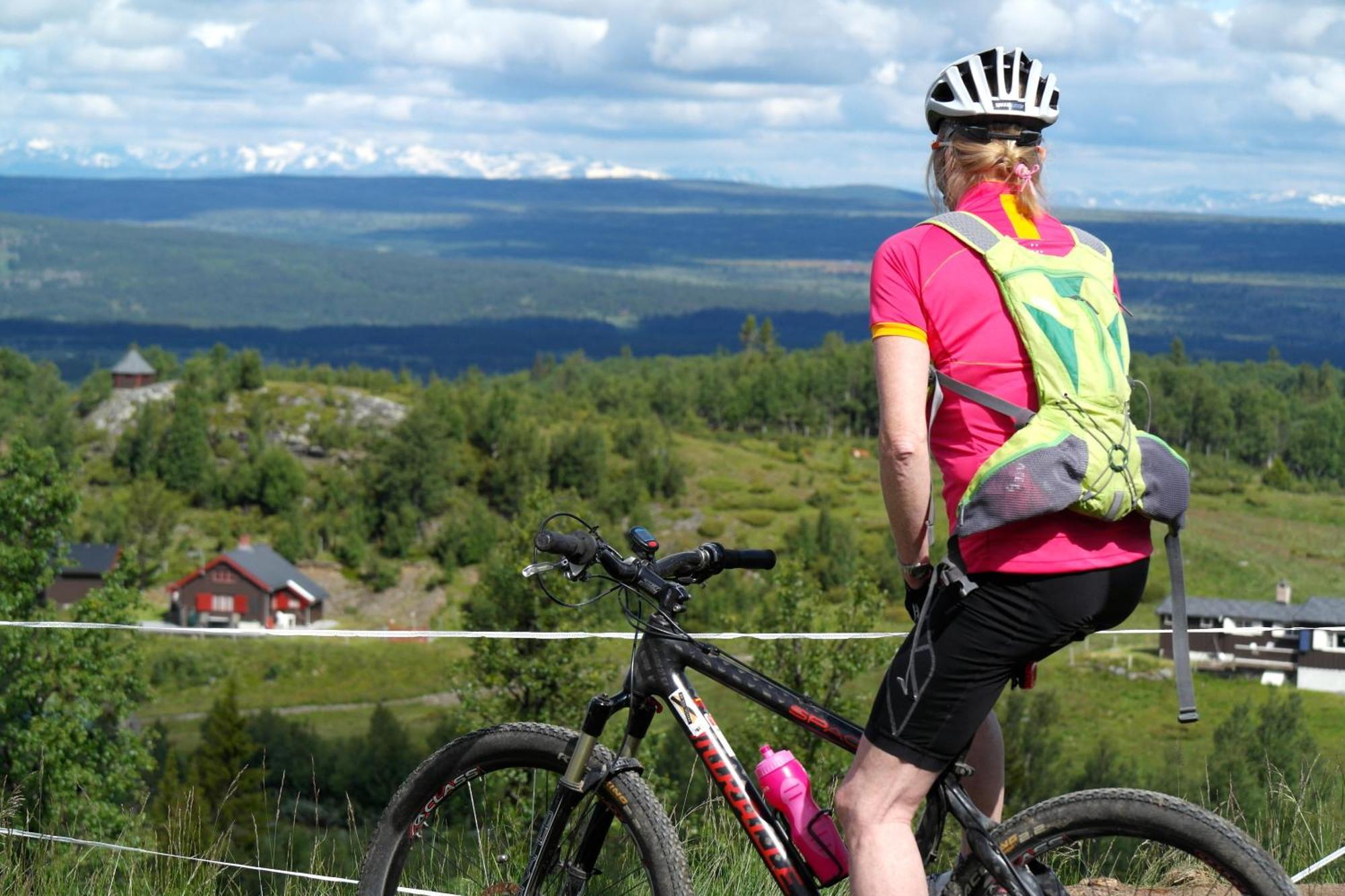 Oset Fjellhotell Gol Exteriér fotografie